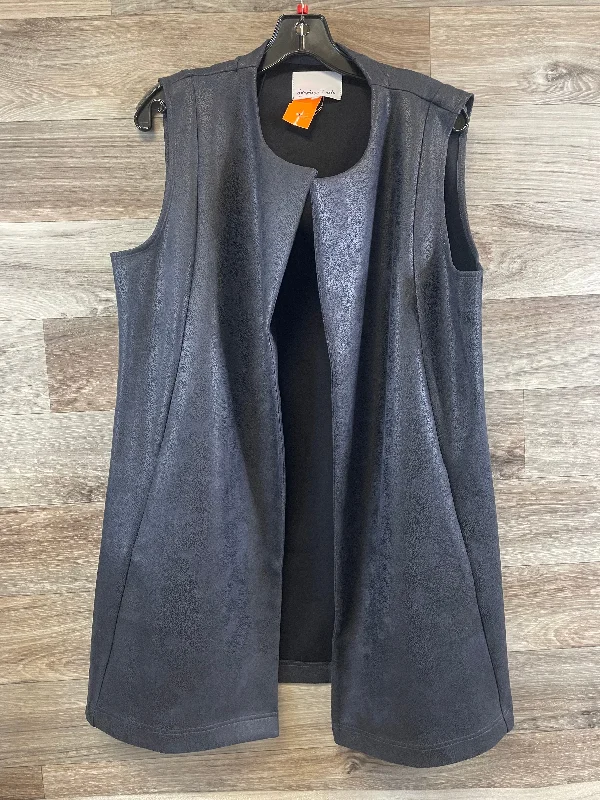 Vest Other By Clothes Mentor In Blue, Size: L